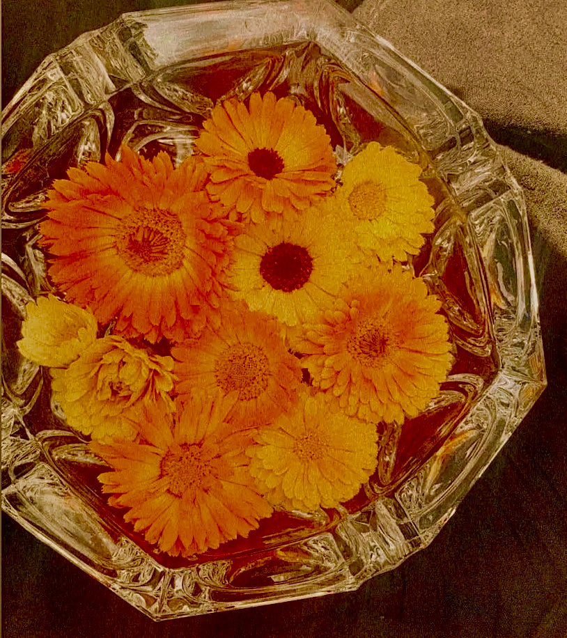 Calendula Flower Essence